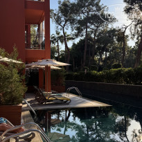 фото из отзыва ID 2745339