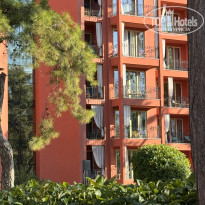 фото из отзыва ID 2745339