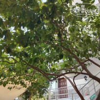 фото из отзыва ID 2745427