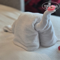 фото из отзыва ID 2745465