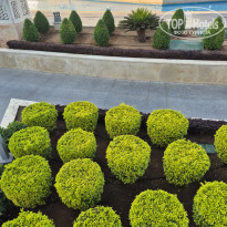 фото из отзыва ID 2745465