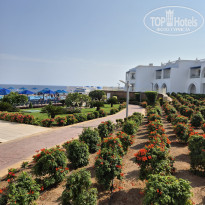 фото из отзыва ID 2745465