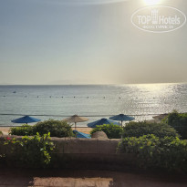 фото из отзыва ID 2745465