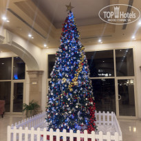 фото из отзыва ID 2745494