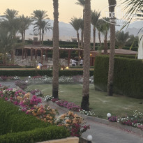 фото из отзыва ID 2745494