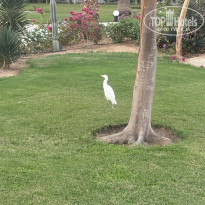 фото из отзыва ID 2745494