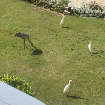 фото из отзыва ID 2745494