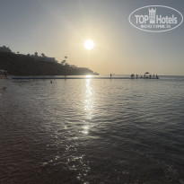 фото из отзыва ID 2745494