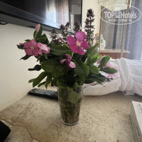 фото из отзыва ID 2745509