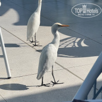 фото из отзыва ID 2745509