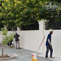 фото из отзыва ID 2745495