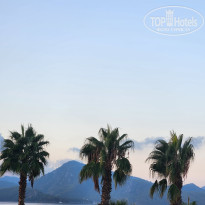 фото из отзыва ID 2745522