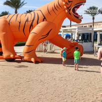 фото из отзыва ID 2745558