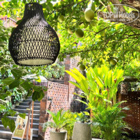 фото из отзыва ID 2745579