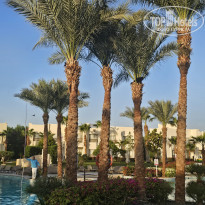 фото из отзыва ID 2745599