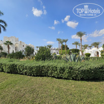 фото из отзыва ID 2745599