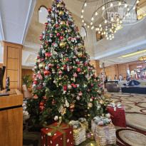 фото из отзыва ID 2745599