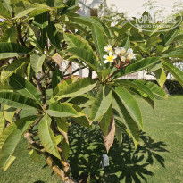 фото из отзыва ID 2745599