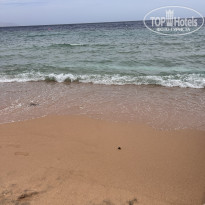 фото из отзыва ID 2745628