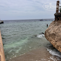 фото из отзыва ID 2745628