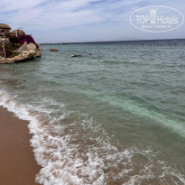 фото из отзыва ID 2745628