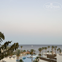 фото из отзыва ID 2745628