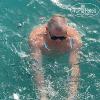 фото из отзыва ID 2745252