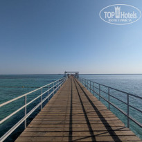 фото из отзыва ID 2745705