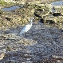 фото из отзыва ID 2745675