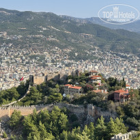 фото из отзыва ID 2745675