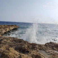 фото из отзыва ID 2745738