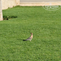 фото из отзыва ID 2745738