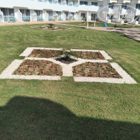 фото из отзыва ID 2745753