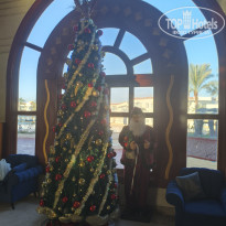 фото из отзыва ID 2745753