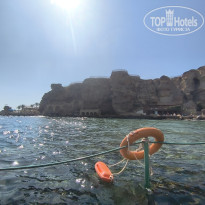 фото из отзыва ID 2745753