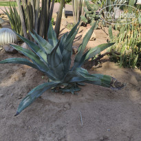 фото из отзыва ID 2745753