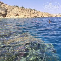 фото из отзыва ID 2745753