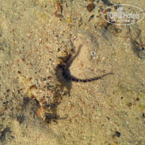 фото из отзыва ID 2745705