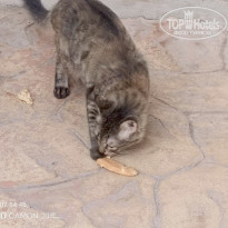 фото из отзыва ID 2745788