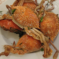 фото из отзыва ID 2745842