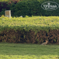 фото из отзыва ID 2745226