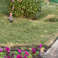 фото из отзыва ID 2745226