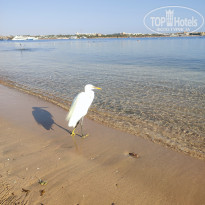 фото из отзыва ID 2745878