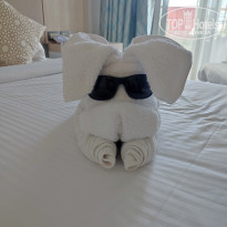 фото из отзыва ID 2745878