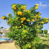 фото из отзыва ID 2745878