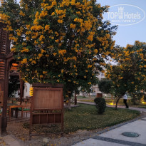 фото из отзыва ID 2745878