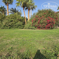 фото из отзыва ID 2745879