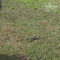 фото из отзыва ID 2745879