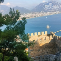 фото из отзыва ID 2745909