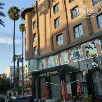 фото из отзыва ID 2745929